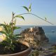 tropea capitale culturale