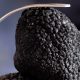 Il Tartufo Nero di Calabria