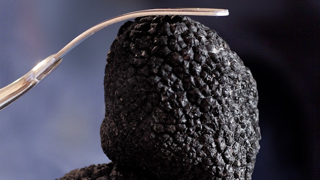 Il Tartufo Nero di Calabria