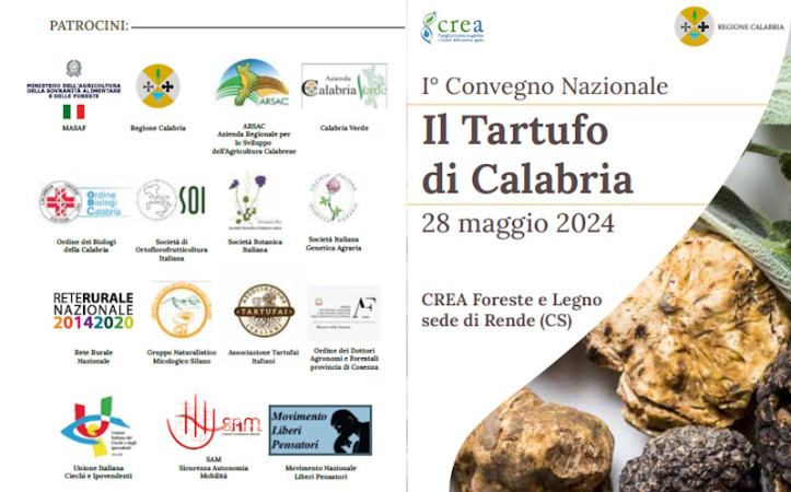 Tartufo di Calabria