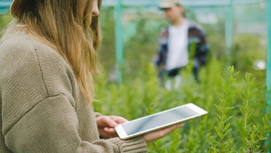 CREAfuturo tecnologia in agricoltura
