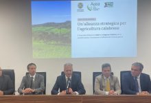 Regione Calabria e Agea