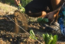 caporalato e sfruttamento lavoratori in calabria