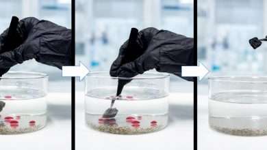 scarti di sughero per depurare l’acqua