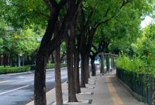 Isole di calore urbane