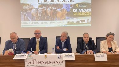 Transumanza convegno in Cittadella