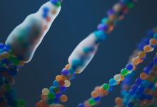 DNA distrofia di Duchenne