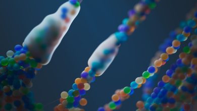 DNA distrofia di Duchenne