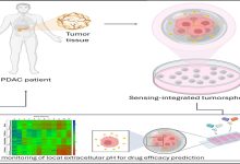 studio processo tumore del pancreas