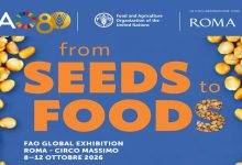 From Seeds to Foods CREA
