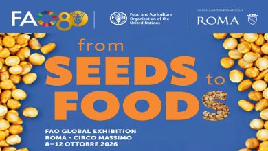 From Seeds to Foods CREA