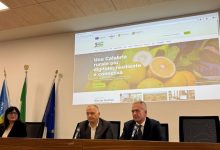 presentazione portale CSR Calabria